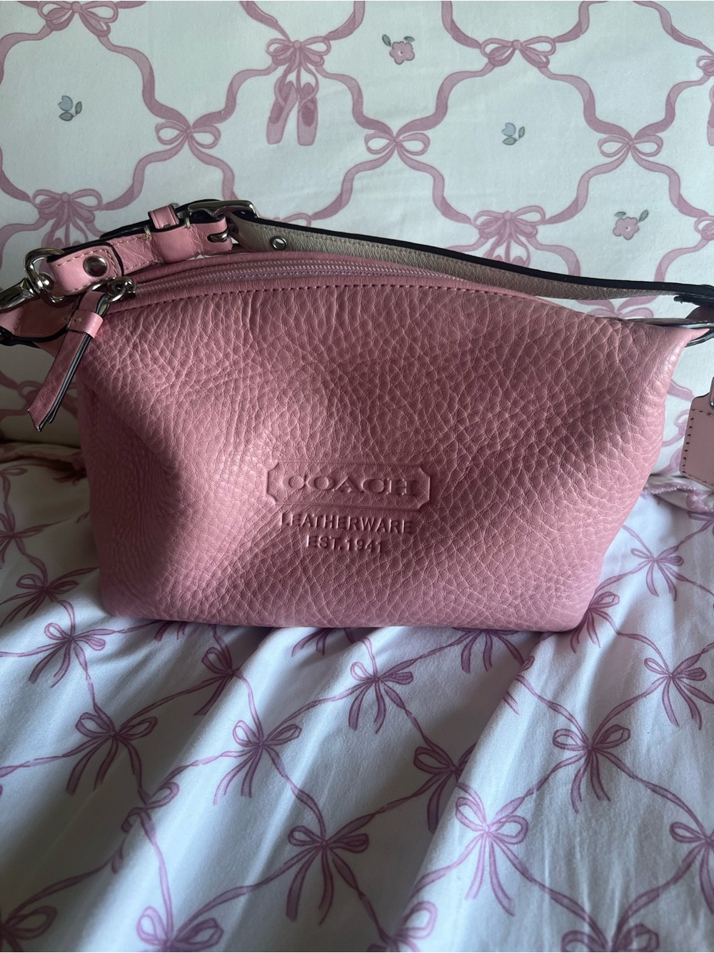 Coach Y2K mini bag